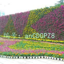 6864(i) 6864(i)